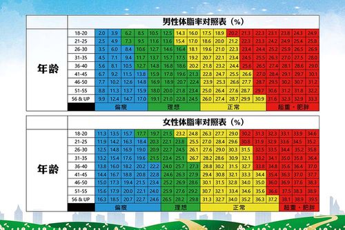 m769男女性体脂率对照表健身房装饰墙贴挂图写真喷绘海报印制2465