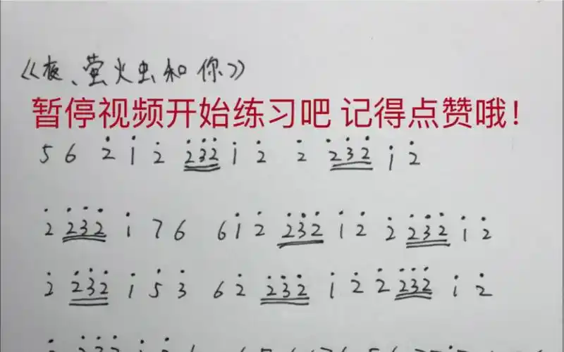 【sky光遇】《夜,萤火虫和你》数字简谱