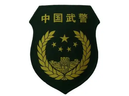 中国武警臂章图