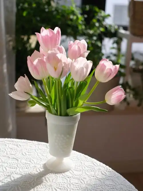 郁金香真的太美了