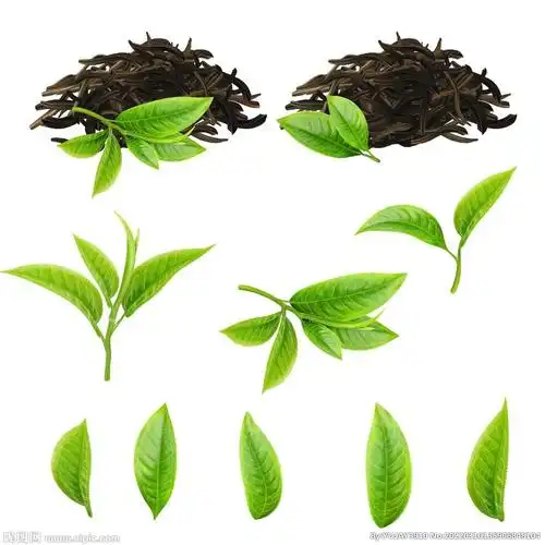 茶叶设计图__广告设计_广告设计_设计图库_昵图网nipic.com