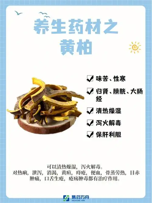 具有清热燥湿,泻火解毒,保肝利胆的功效.