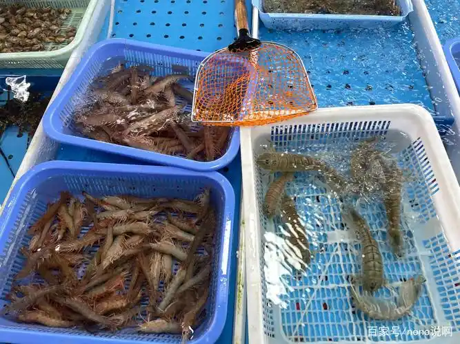 爱吃海鲜的我们,怎么能错过广州南沙十九涌渔人码头的开海呢