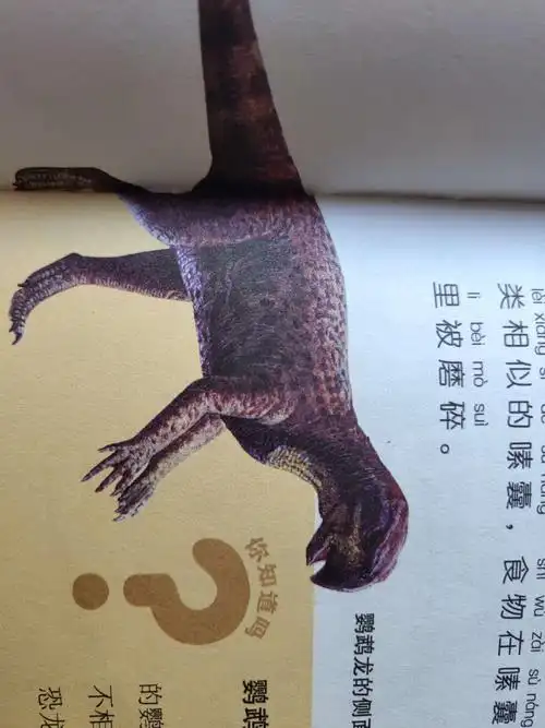 第九期《长鹦鹉嘴的鹦鹉龙》