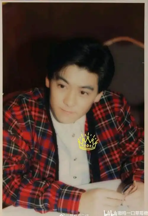 林志颖老照片花衬衫 合集