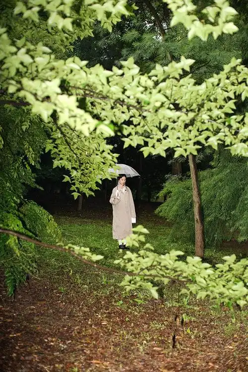 七律《林间雅趣》文/渟涵 原创