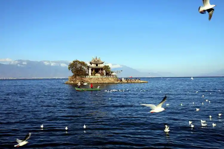 大理洱海风光-戈飞摄_风景_poco摄影