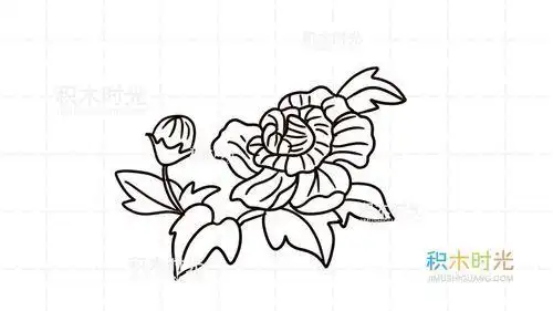 芙蓉花简笔画简单
