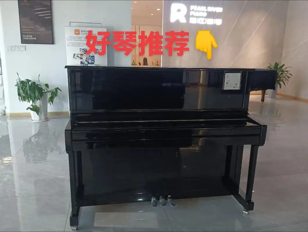 源自德国🇩🇪里特米勒钢琴👍.有客