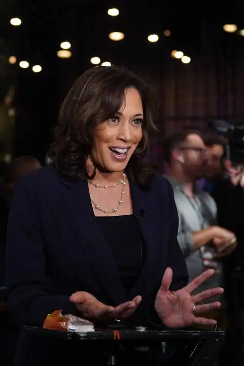 这是卡玛拉·哈里斯在美国佛罗里达州迈阿密参加2020年美国总统选举