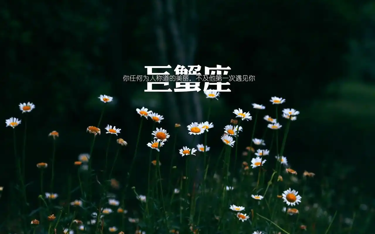 巨蟹座简约文字唯美小清新桌面壁纸