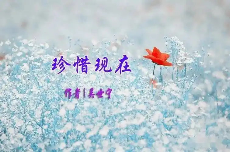 珍惜作文400字3篇