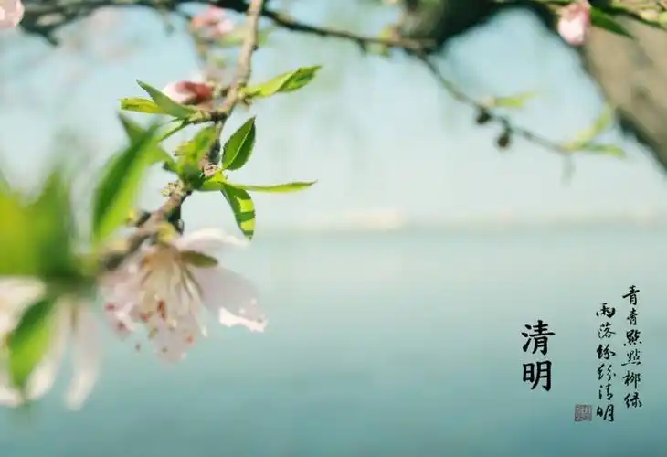 清明|| 群友同题微诗文汇编