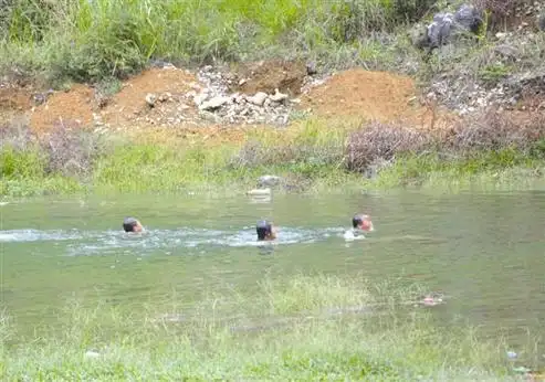 孩子们结伴在水塘里游泳