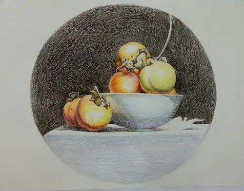 彩铅练习～静物柿子