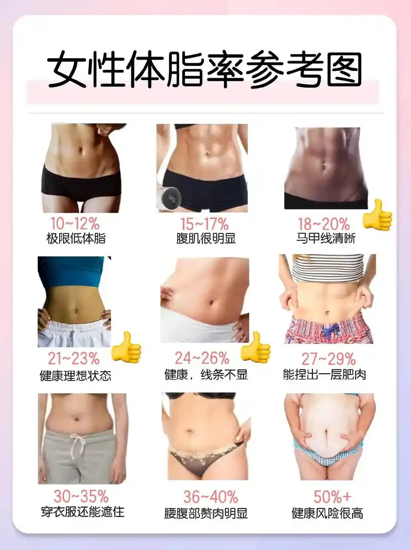 女性标准体脂率73附不同基数瘦身攻略06.