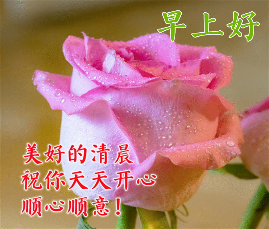 超温馨早上好问候语表情图片 早晨祝福语句子表情图