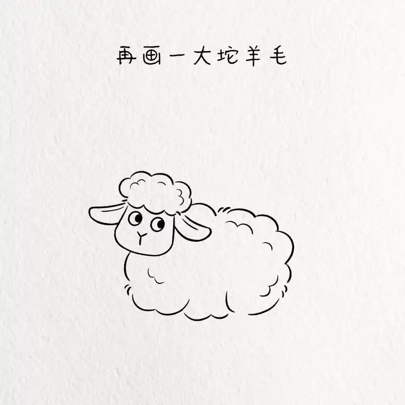 可爱绵羊简笔画/动物篇简笔画