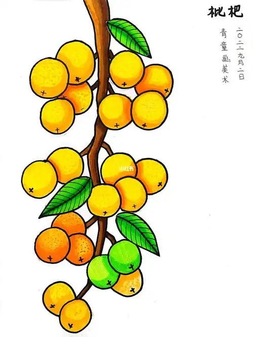 创意美术儿童画  #儿童创意美术  #少儿美术  #简笔画  #枇杷