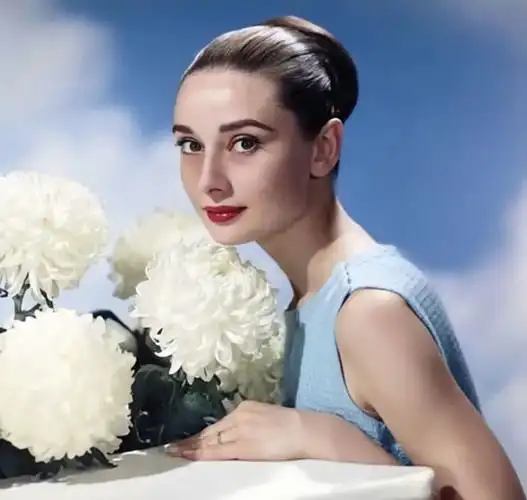 奥黛丽·赫本头像