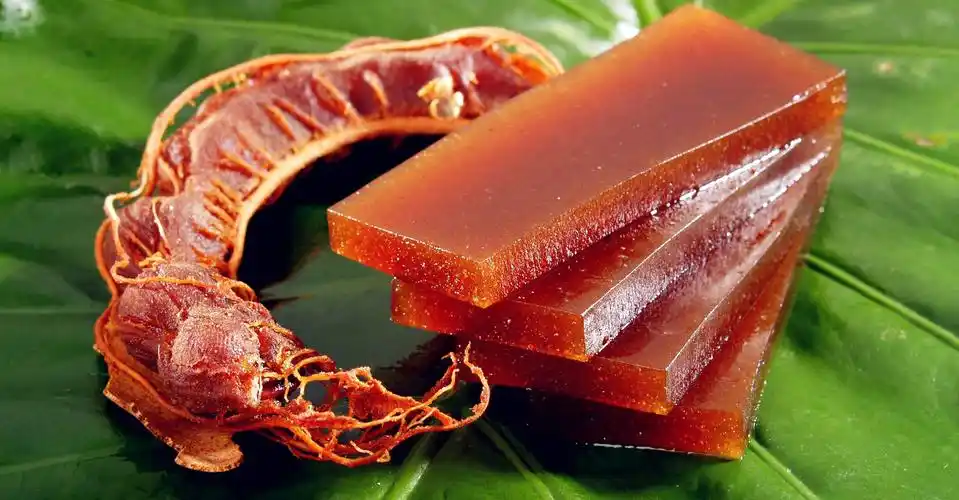 酸角是哪个民族的特色食品