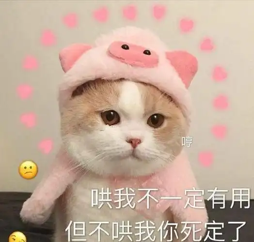 不一定有用但不哄你死定了呆萌可爱gif动图_动态图_表情包下载_soogif