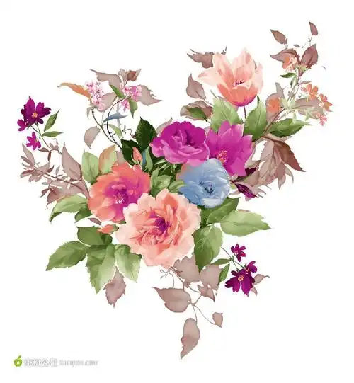 手绘花朵插画素材