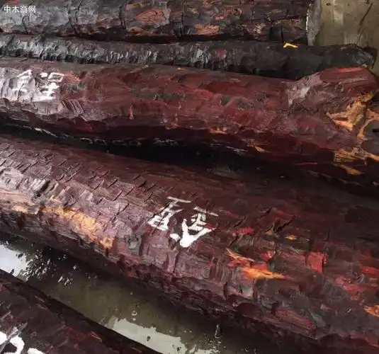 非洲染料紫檀价格行情彻底沉了下去了_2020年12月29日