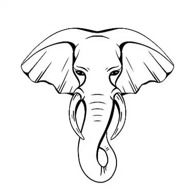 用象鼻和象牙轮廓大象头.野生哺乳动物.