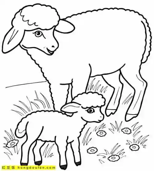 12张有趣可爱的农场动物卡通涂色图片-红豆饭小学生简笔画大全