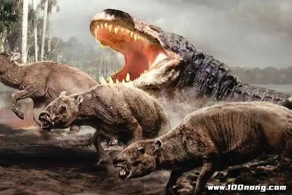 什么龙能秒杀霸王龙,能杀死霸王龙的十种恐龙(均为霸王龙"终结者")