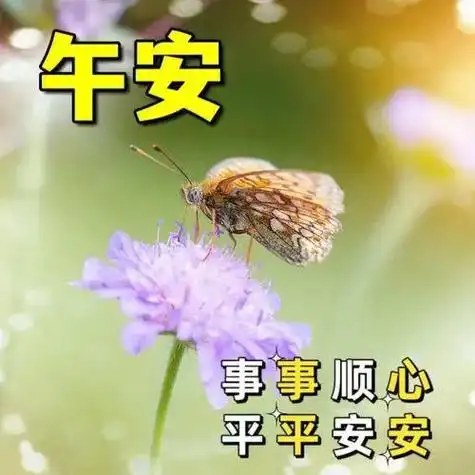 中午好温馨祝福中午好问候中午好片大全午安喜乐顺心