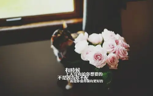 爱情壁纸,高清壁纸,文字壁纸,伤感爱情文字语录桌面壁纸