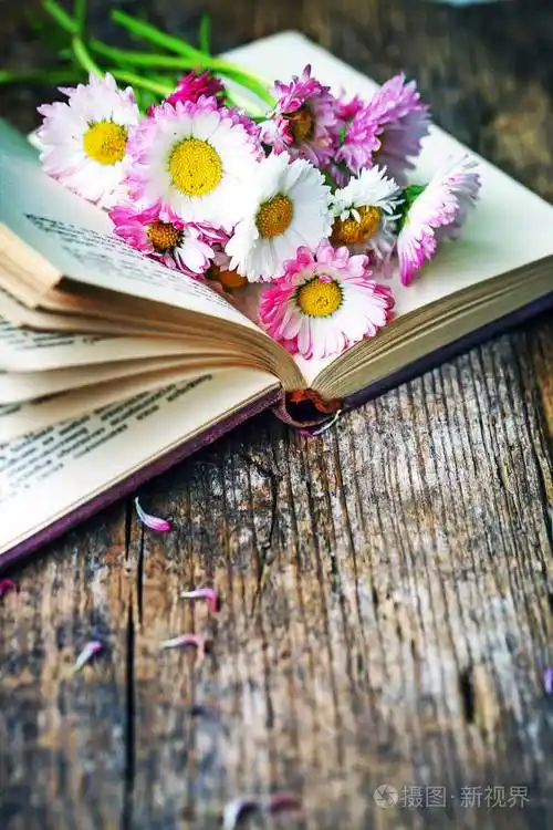 在木桌上打开的书上鲜艳的雏菊花束
