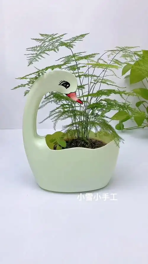 手工制作洗衣液瓶子改造花盆你学会了吗