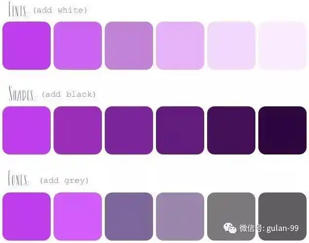 加入白色后颜色变浅明度提高下面同一紫色基本色轮还可以进一步细分