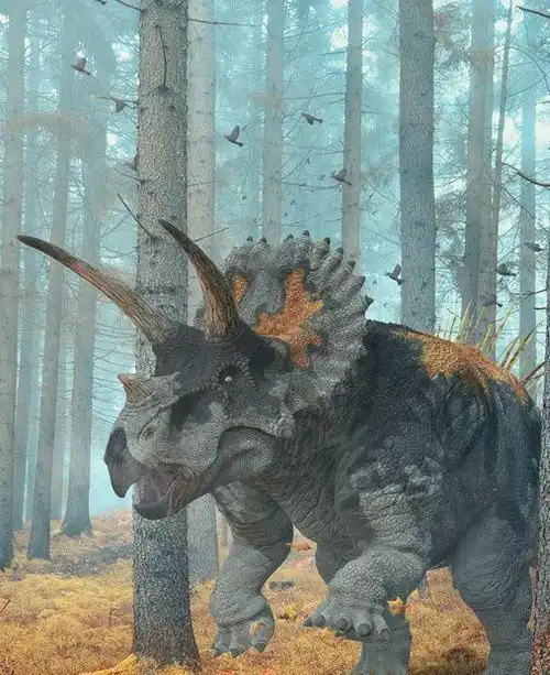 恐龙世界-三角龙_网易订阅