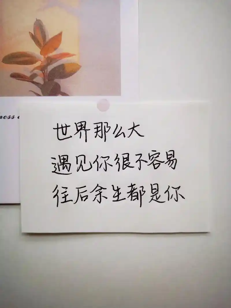 男朋友/老公过生日发的暖心浪漫句子#生日快乐#生日快乐文案  - 抖音