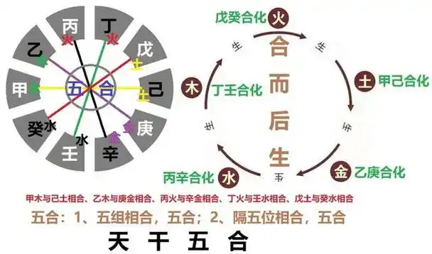 天干五合(五合:1,五组相合,五合;2,隔五位相合,五合):甲己合,乙庚合