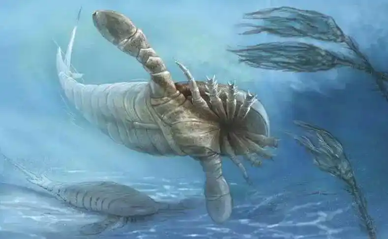 地球上最bug的6大史前动物,靠牙齿称霸世界!_猎物