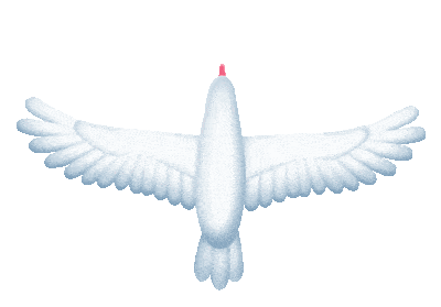 保护鸽子免受龙侵害的树刘星