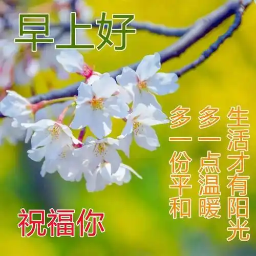 原创8张最新最全早上好问候语温馨动态图片大全春天早上好问候祝福语