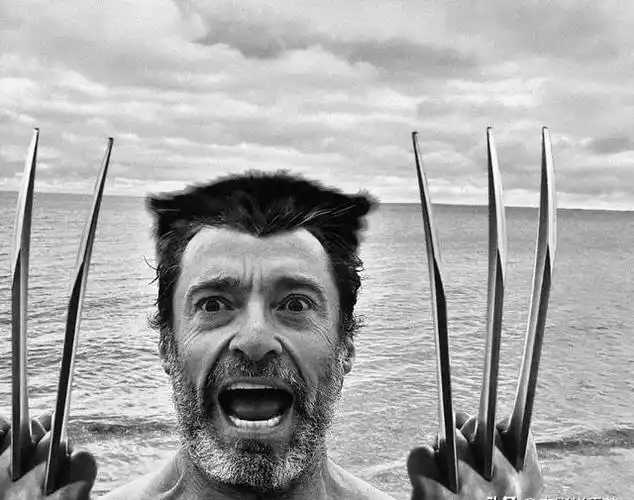 金刚狼回来啦,这让大家对《死侍3》这部电影的期待值又飙升了不少呢!