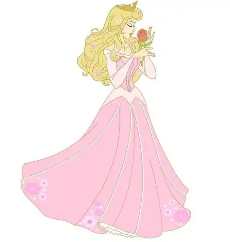 迪士尼公主们的来历不简单,大多都是童话故事,唯花木兰是个例外