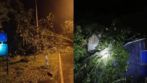 【今夜又有雷暴大风,强降水?未来天气不简单,好消息是.】