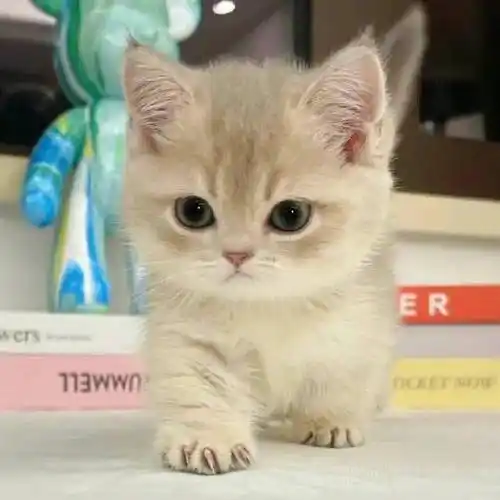 头像丨微信头像 浅存一下