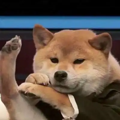 沙雕头像_微信头像_我要个性网