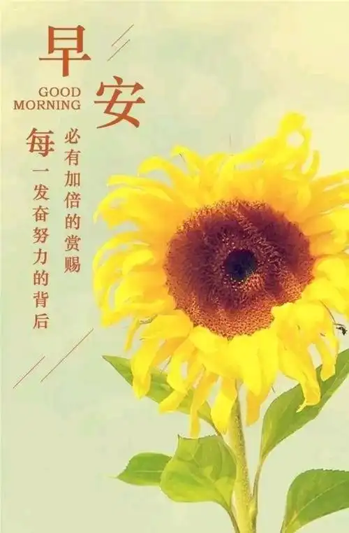 早晨励志语录正能量,激励人心的语录句子