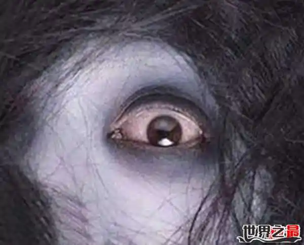 这个世界真的有鬼吗 推理(这个世界真的有鬼吗)