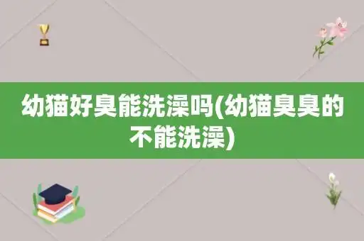 幼猫好臭能洗澡吗(幼猫臭臭的不能洗澡)